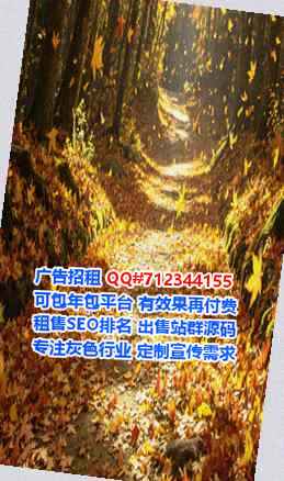 渝中借腹生子宠物有限公司